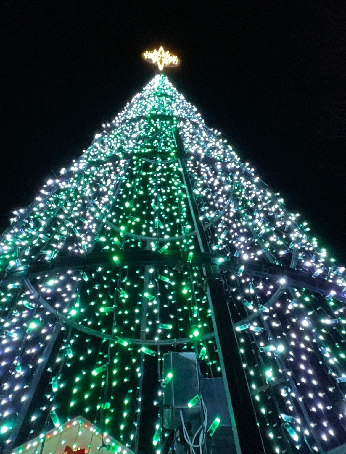 Looking Up