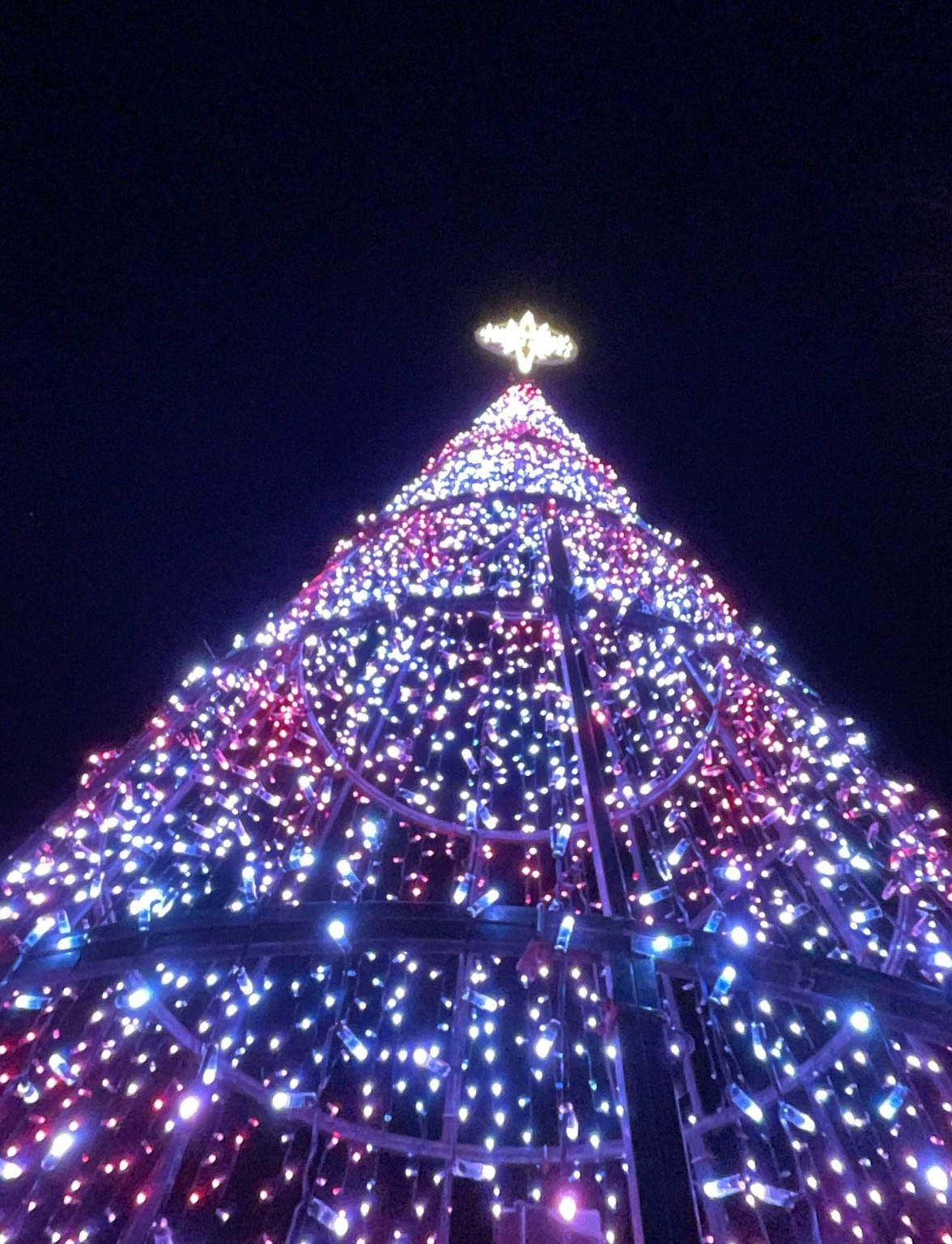 Dancing Lights Tree