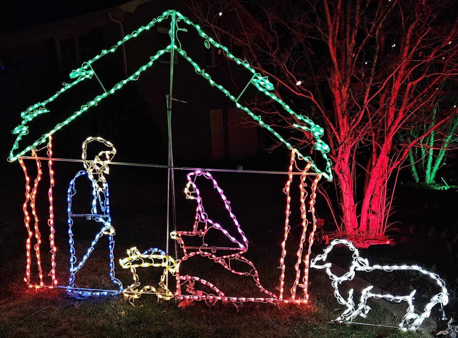 The Nativity