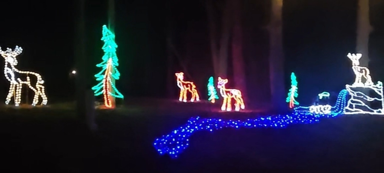 Woodland deer display