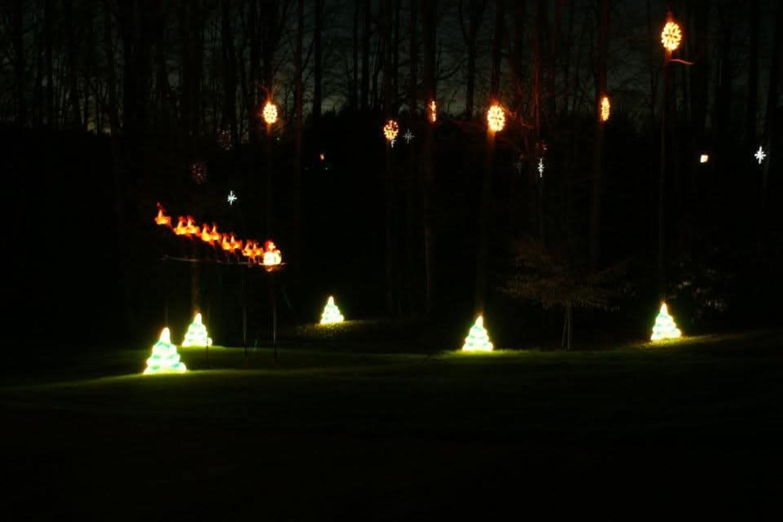 Growing hillside display