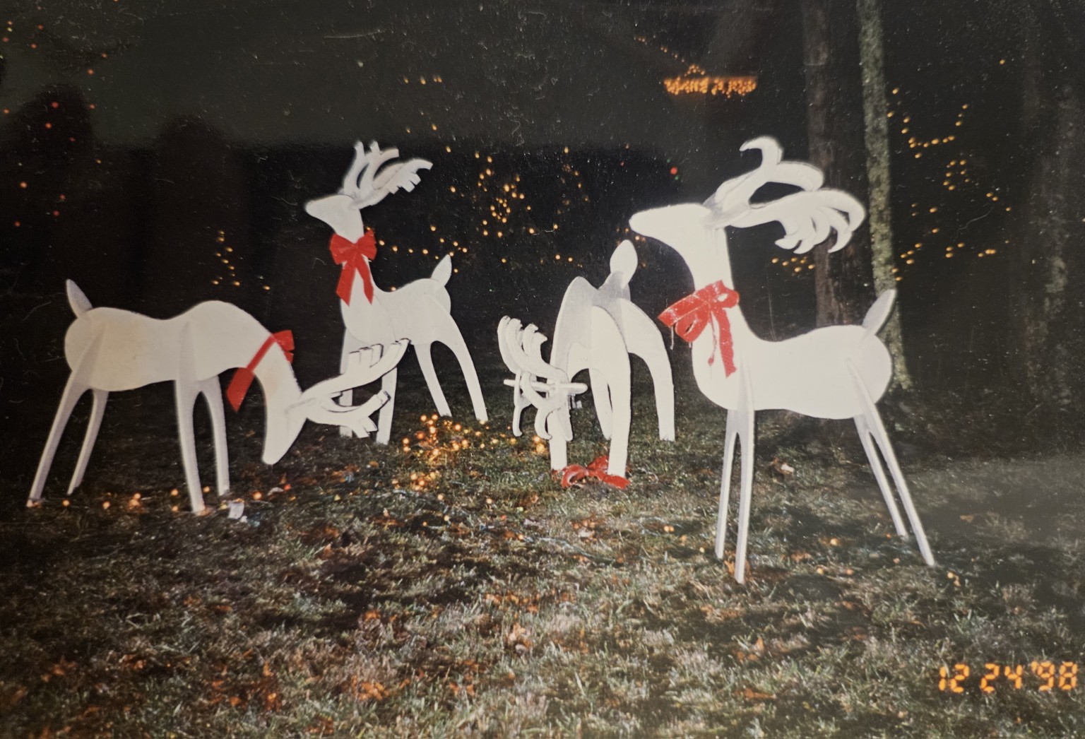 Reindeer at grandparents' home