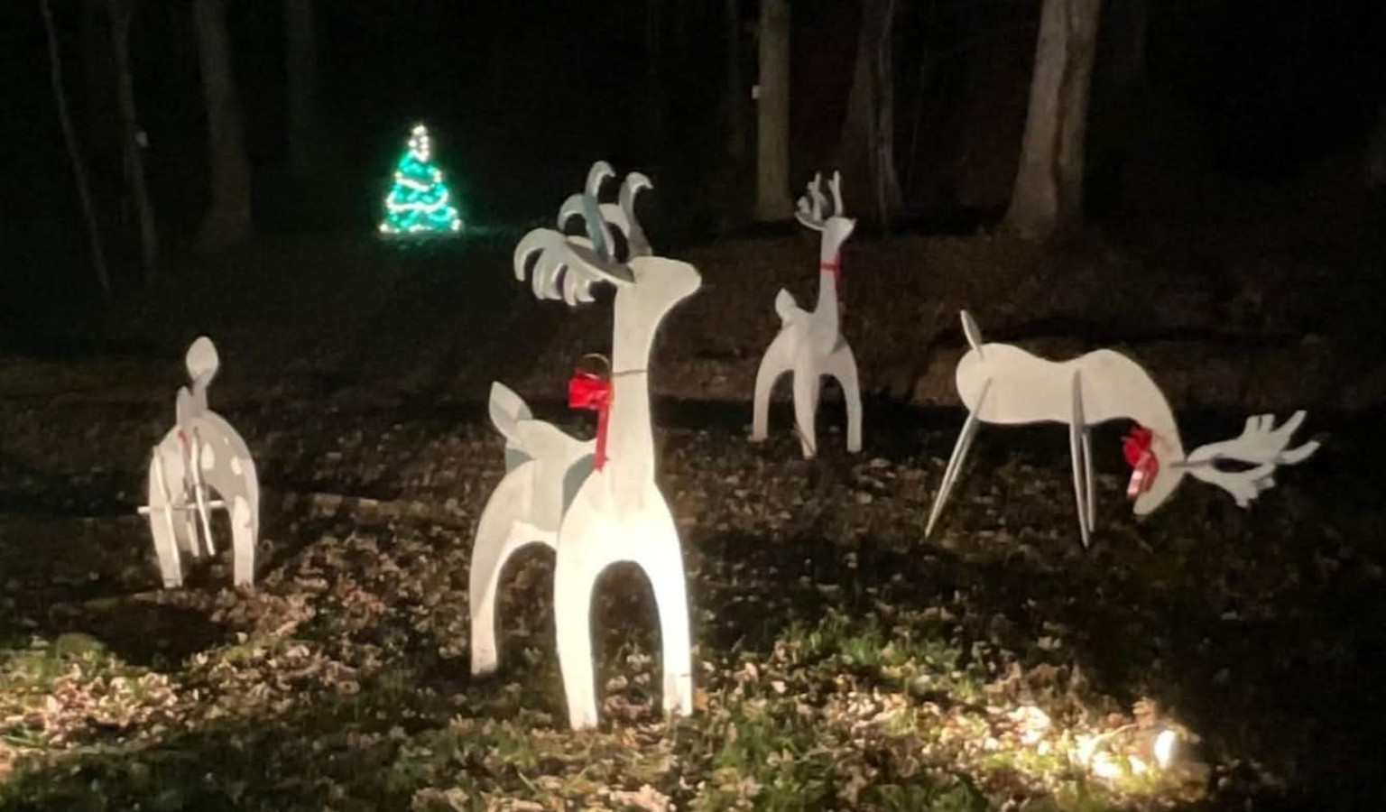 Inherited reindeer in later display